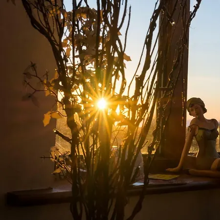 Island View دولين